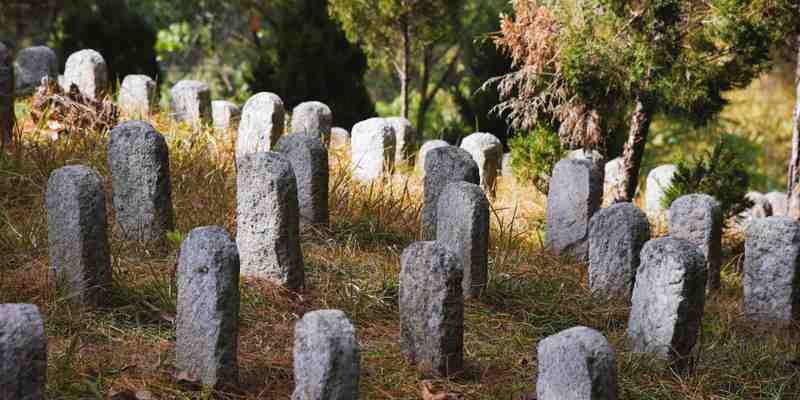 Graves in a field